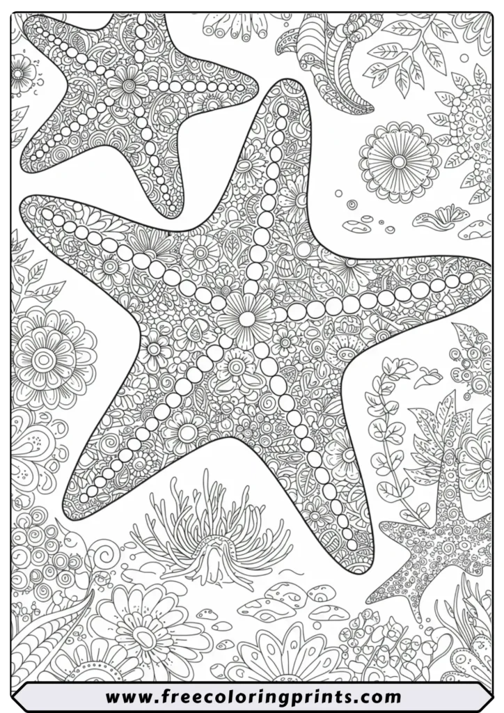 A detailed coloring page showing several starfish filled with intricate floral patterns. A perfect sea life coloring page for adults