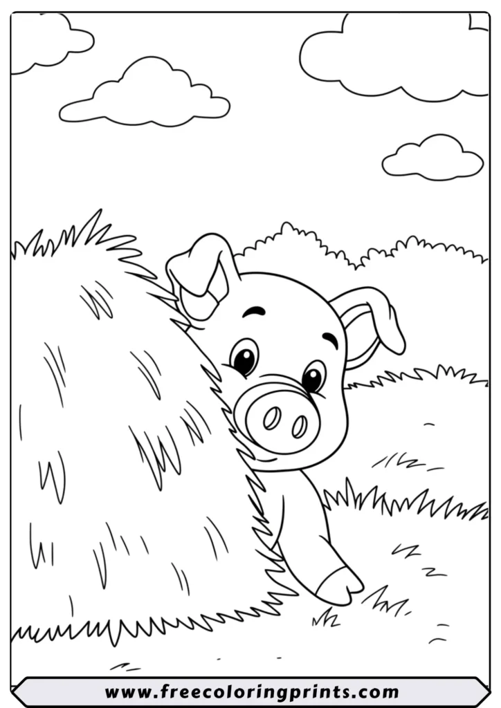 Pig Playing Peekaboo