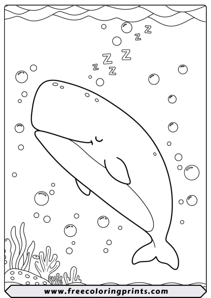 A cute cartoon sperm whale sleeping peacefully underwater with 'zzz' bubbles. A calm under the sea coloring page